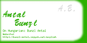 antal bunzl business card